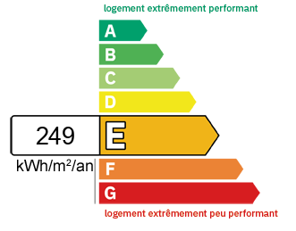 DPE Local professionnel Vinay