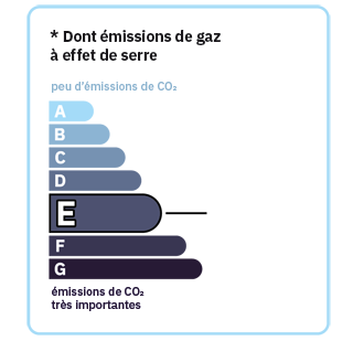 GES Immeuble Voiron