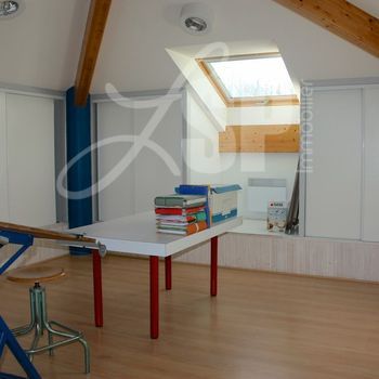 Locaux professionnels : Mezzanine