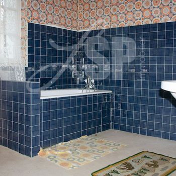 Maison St Etienne de Crossey : SDB