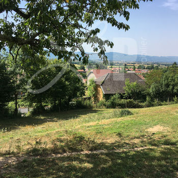 Terrain viabilisé (Lot B) : Colombe