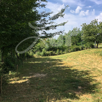 Terrain viabilisé (Lot B) : Colombe