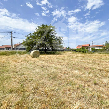 Terrain viabilisé (Lot 8) : Terrain viabilisé (Lot 8)