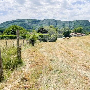 Terrain viabilisé (Lot 11) : Terrain viabilisé (Lot 11)