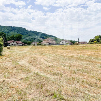 Terrain viabilisé (Lot 11) : Terrain viabilisé (Lot 11)