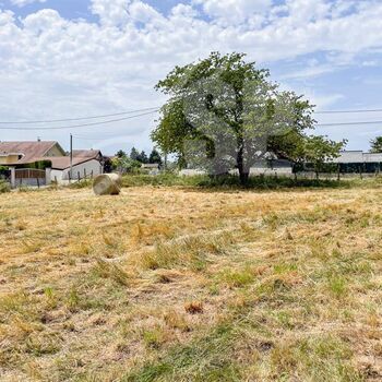 Terrain viabilisé (Lot 10) : Terrain viabilisé (Lot 10)