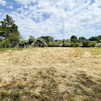 Terrain viabilisé (Lot 10) : Terrain viabilisé (Lot 10)