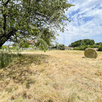 Terrain viabilisé (Lot 10) : Terrain viabilisé (Lot 10)