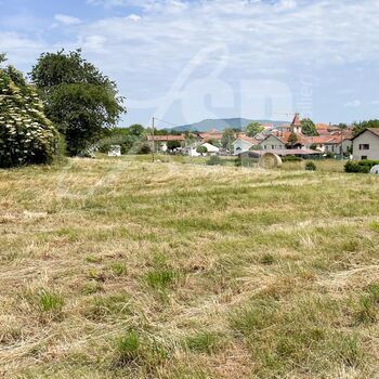 Terrain viabilisé (Lot 10) : Terrain viabilisé (Lot 10)