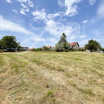 Terrain viabilisé (Lot 10) : Terrain viabilisé (Lot 10)