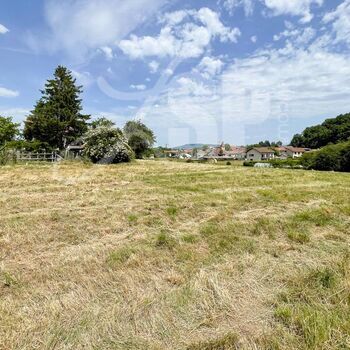 Terrain viabilisé (Lot 11) : Terrain viabilisé (Lot 11)