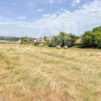 Terrain viabilisé (Lot 10) : Terrain viabilisé (Lot 10)