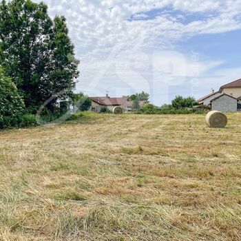Terrain viabilisé (Lot 10) : Terrain viabilisé (Lot 10)