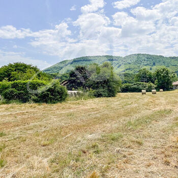 Terrain viabilisé (Lot 10) : Terrain viabilisé (Lot 10)