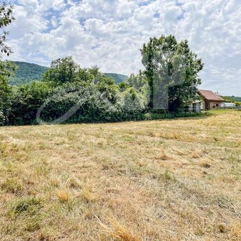 Terrain viabilisé (Lot 11) : Terrain viabilisé (Lot 11)