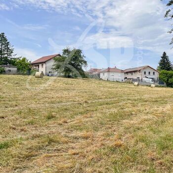 Terrain viabilisé (Lot 11) : Terrain viabilisé (Lot 11)