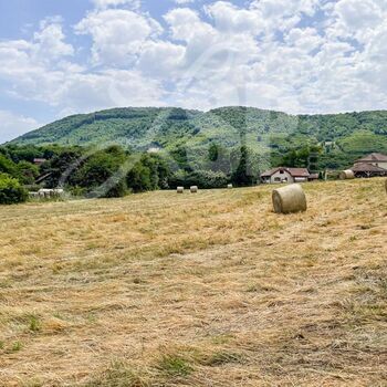 Terrain viabilisé (Lot 11) : Terrain viabilisé (Lot 11)