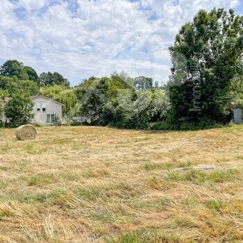 Terrain viabilisé (Lot 12 Bis) : Terrain viabilisé (Lot 12 Bis)