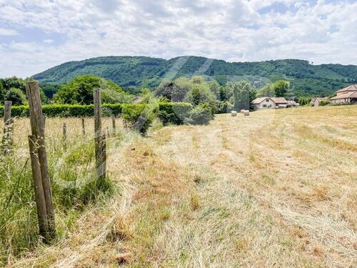  Terrain Beaucroissant - Terrains 38