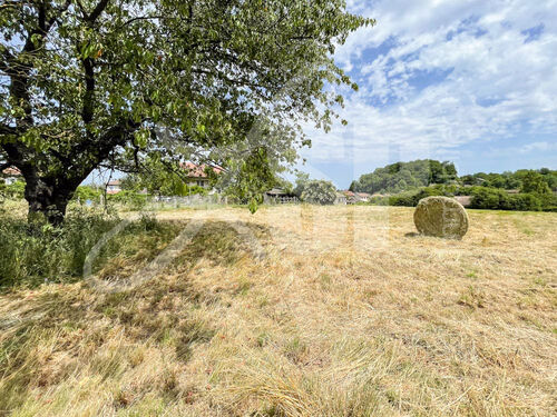  Terrain Beaucroissant - Terrains 38