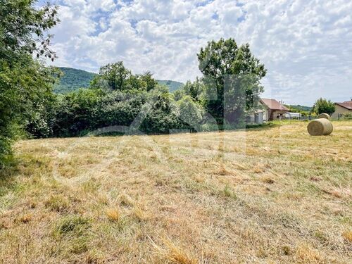  Terrain Beaucroissant - Terrains 38