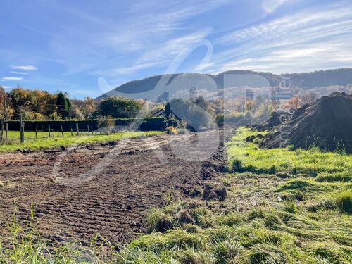  Terrain Beaucroissant - Terrains 38