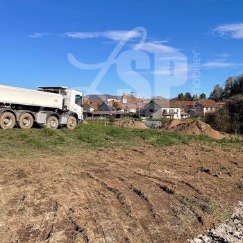 Terrain viabilisé (Lot 12) : Terrain viabilisé (Lot 12)