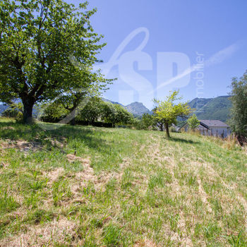 Terrain viabilisé (Lot 1) : Montagnole