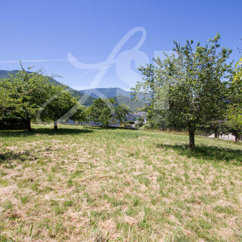 Terrain viabilisé (Lot 1) : Montagnole