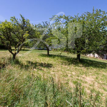 Terrain viabilisé (Lot 2) : Montagnole