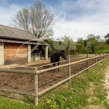 Ferme restaurée avec carrière équestre : Châbons