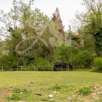 Ferme restaurée avec carrière équestre : Châbons