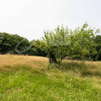 Corps de ferme avec dépendances : Varacieux
