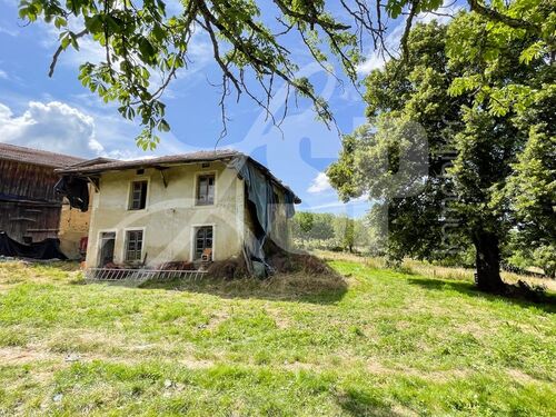  Maison, villa Saint Michel de Saint Geoirs - Maisons, villas 38