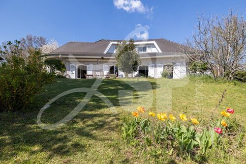  Maison, villa Rives - Maisons, villas 38