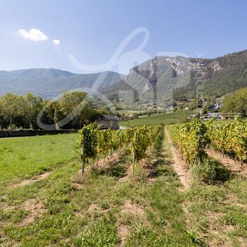 Les Terrasses de Minjoud : Les Terrasses de Minjoud