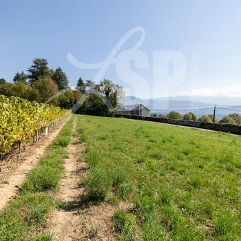 Les Terrasses de Minjoud : Les Terrasses de Minjoud