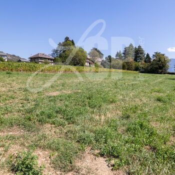Terrain viabilisé (Lot 14) : Terrain viabilisé (Lot 14)