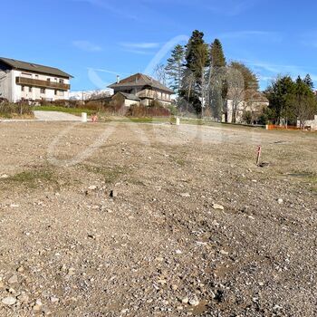 Terrain viabilisé (Lot 11) : Terrain viabilisé (Lot 11)