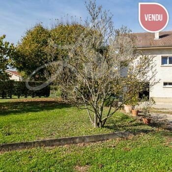 Villa T5 (Terrain constructible)