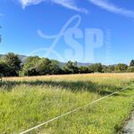 Terrain viabilisé (Lot 2)