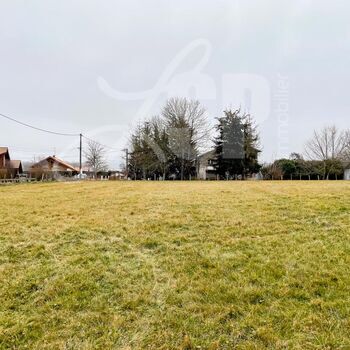Terrain à bâtir (Lot 5) : Terrain à bâtir (Lot 5)