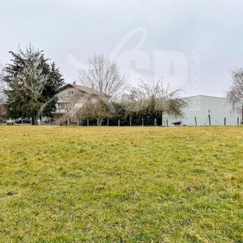 Terrain à bâtir (Lot 5) : Terrain à bâtir (Lot 5)