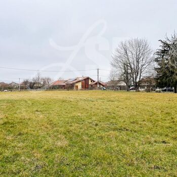 Terrain à bâtir (Lot 5) : Terrain à bâtir (Lot 5)
