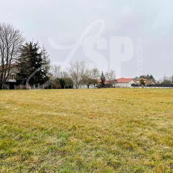 Terrain à bâtir (Lot 5) : Terrain à bâtir (Lot 5)