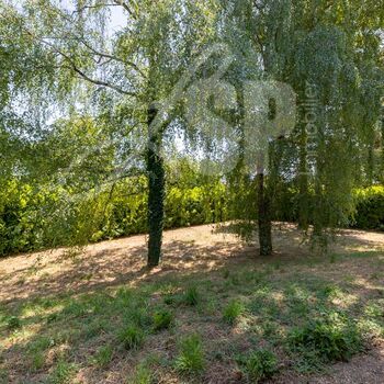 Villa individuelle à restaurer : Villa individuelle à restaurer