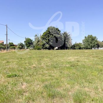 Terrain à bâtir (Lot 5) : Terrain à bâtir (Lot 5)