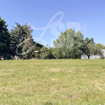 Terrain à bâtir (Lot 5) : Terrain à bâtir (Lot 5)
