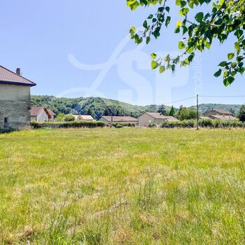 Terrain à bâtir (Lot 5) : Terrain à bâtir (Lot 5)