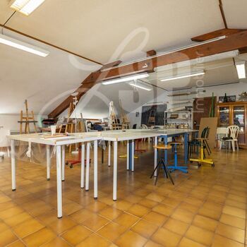 Locaux professionnels : Locaux professionnels